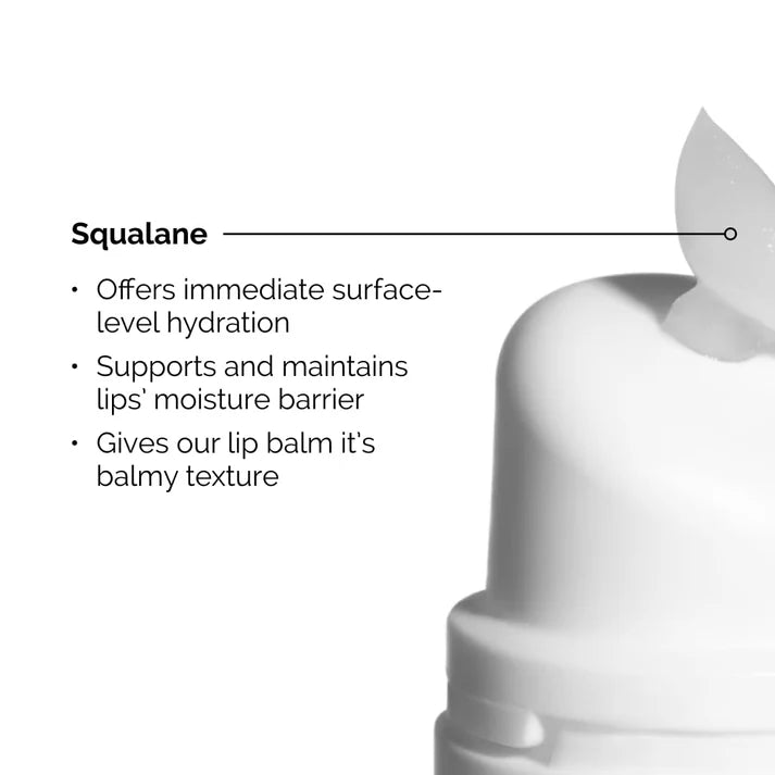 the ordinary lip balm for dry chapped lips skincare